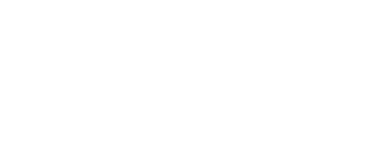 NEW AGE cracked horizontal wordmark, white